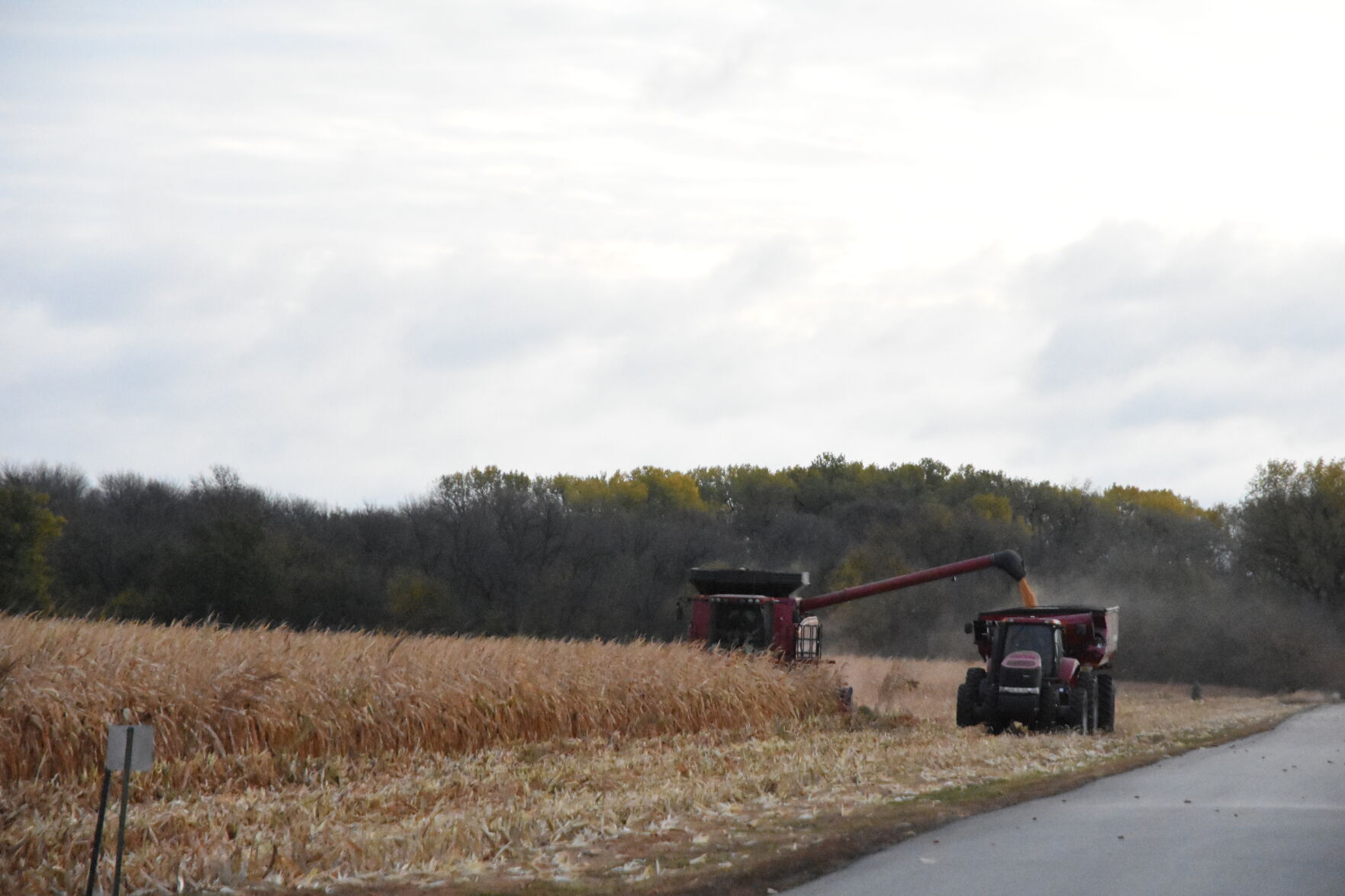 Rempel Harvest (24).JPG